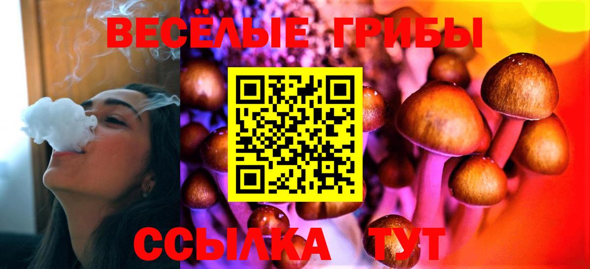 где найти   Галлюциногенные грибы ЛСД  Вход с VPN  Сарапул 